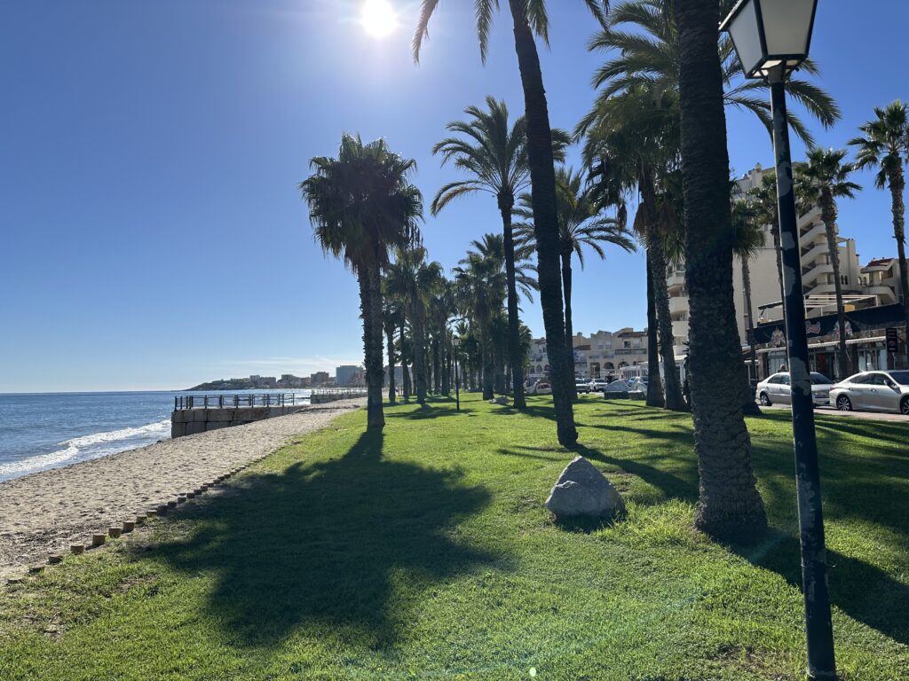 Moře a palmy v Oropesa del Mar